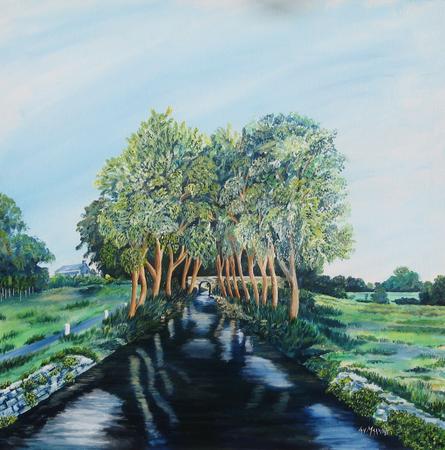 irish canal - commision