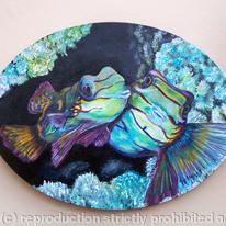 mandarin fish on coral reef