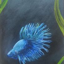 siamese fighting fish - betta splendens