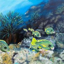 sweetlips on coral reef