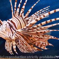lionfish
