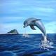 Gibraltar Dolphin