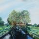 irish canal - commision