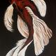 Koi