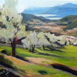 Les Ardrets Olive Grove - oili on canvas