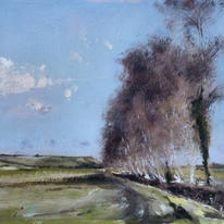1093 January birches, Rother Valley Kent 8x10