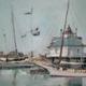 Harbour at S. Michaels,…