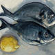Fish still life 2