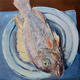 Fish still life 2