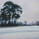 Pine trees and snow