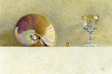 Nautilus shell and goblet