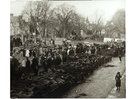 Sheep Market Brackley c.1900