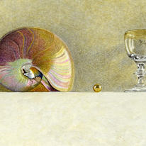 Nautilus shell and goblet