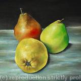 3 pears - oil on panel
