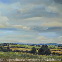 cotswolds