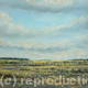 goonhilly-downs