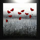 Rime Landscape | | | Rime Landscape