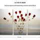 La Vie En Rose | | | La Vie En Rose