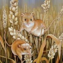 Mr and Mrs Fieldmouse