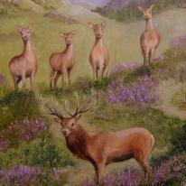 Stag with wives