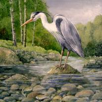 Heron