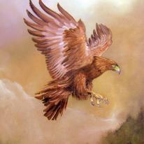 Golden Eagle