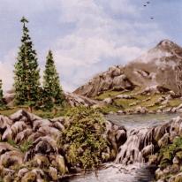 Unknown Tarn