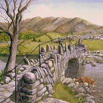 Slaters Bridge Fox