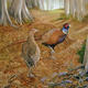 Pheasants