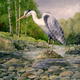 Heron