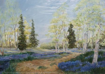 Bluebell Wood