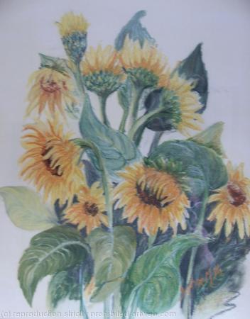 Sunflowers