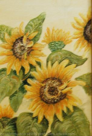 sunflowers