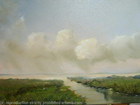 Over the marsh