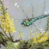 Dragonfly on Ligularia