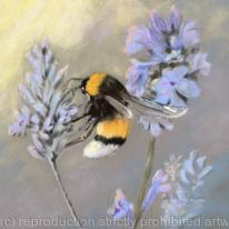 Bee on Lavender