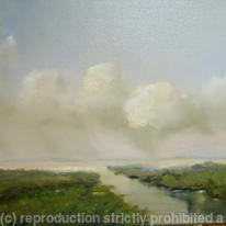 Over the marsh