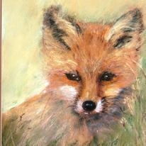 Little fox