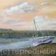 Blakeney boat
