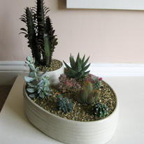 Cactus planter