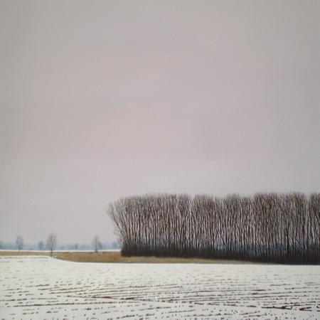 Snow Field and Trees 