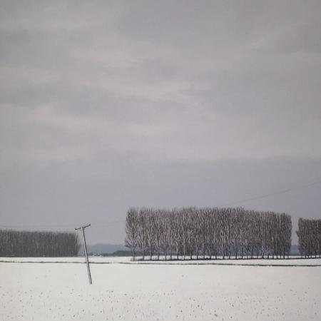 Poplars, Winter 