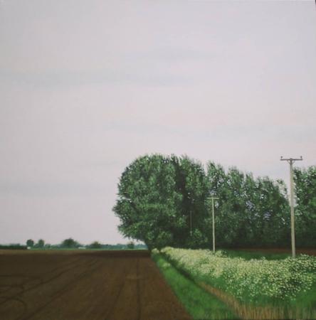Early Summer Trees