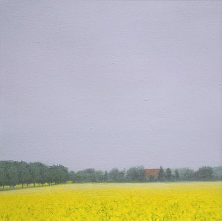 Early Morning Mist, Rape Field 