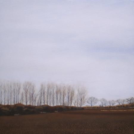 Winter Trees