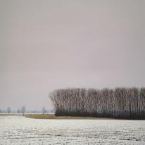 hidden Snow Field and Trees…