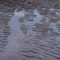 Low Tide