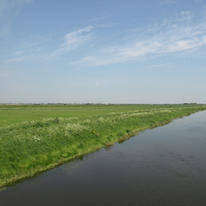 River. 2008