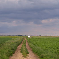 Field Track. 2008