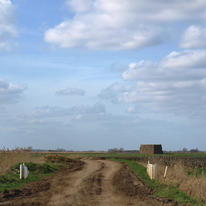 Mud Road. 2009